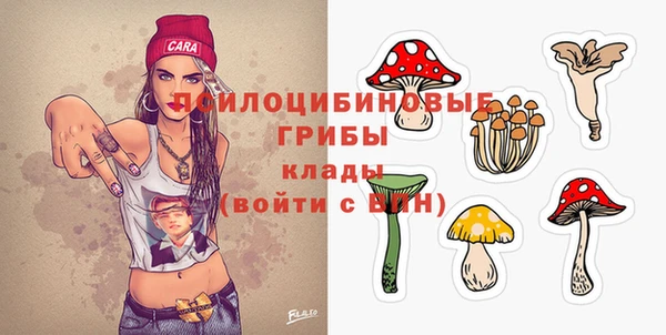 гидропоника Верхнеуральск